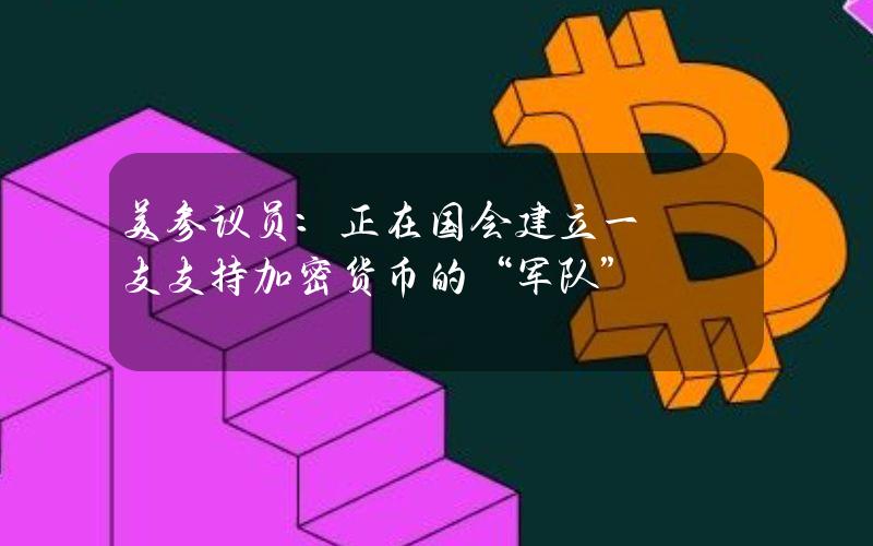 美参议员：正在国会建立一支支持加密货币的“军队”