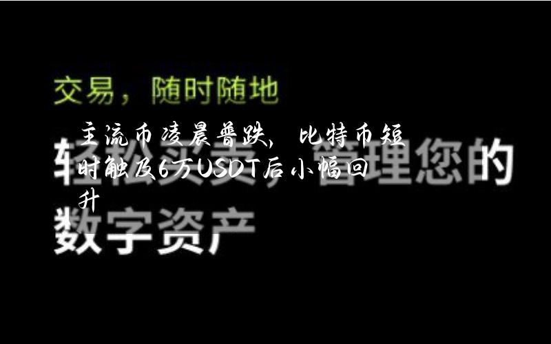 主流币凌晨普跌，比特币短时触及6万USDT后小幅回升