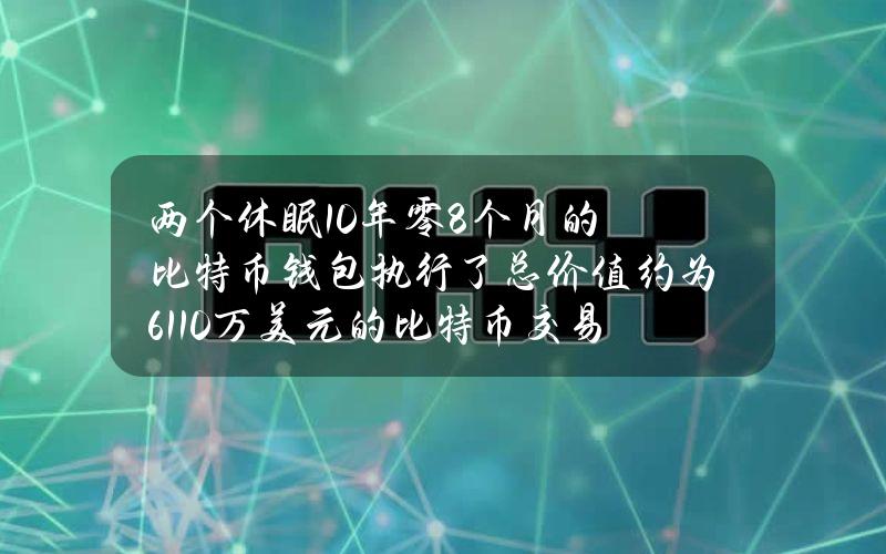 两个休眠10年零8个月的比特币钱包执行了总价值约为6110万美元的比特币交易