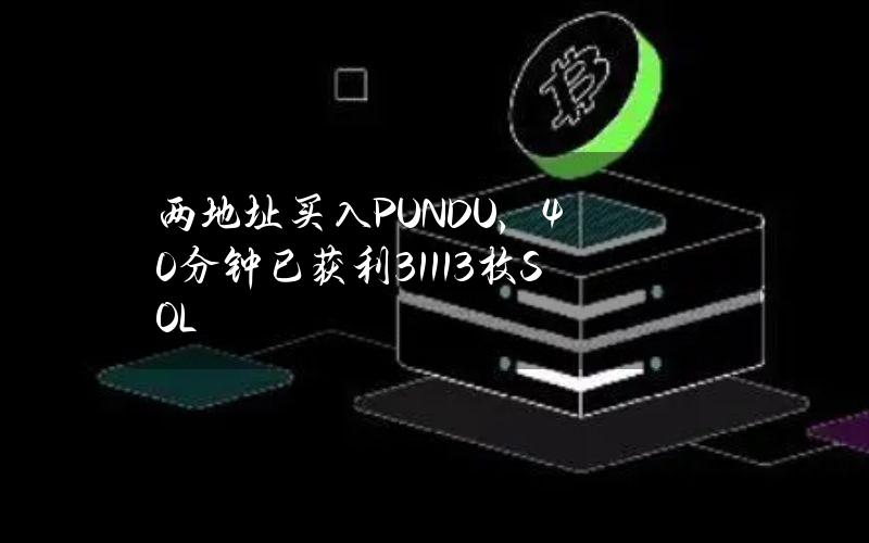 两地址买入PUNDU，40分钟已获利31113枚SOL