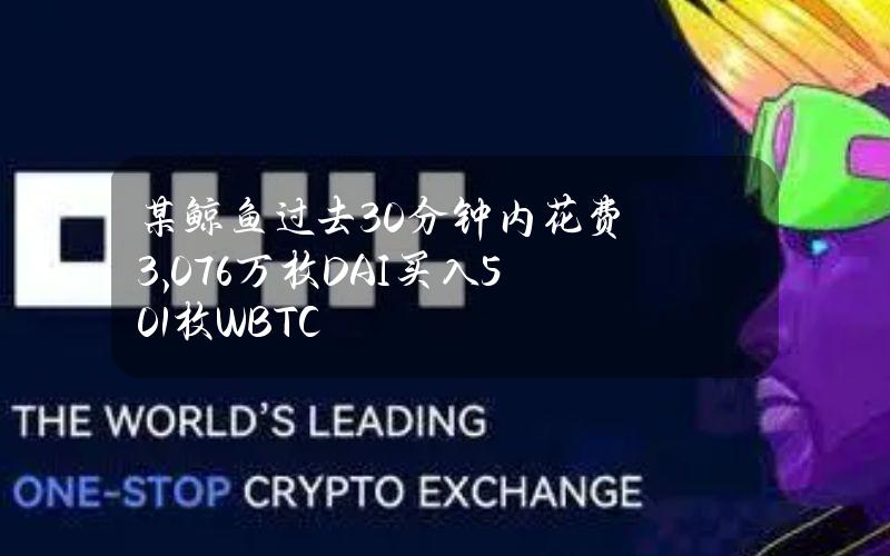 某鲸鱼过去30分钟内花费3,076万枚DAI买入501枚WBTC