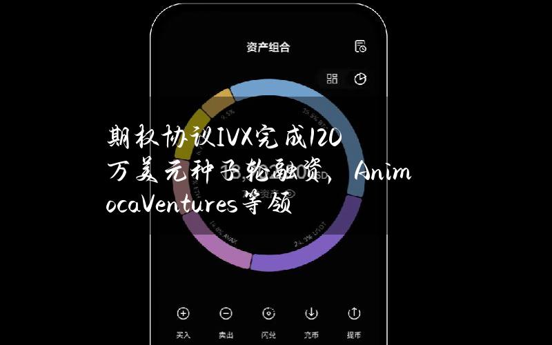 期权协议IVX完成120万美元种子轮融资，AnimocaVentures等领投