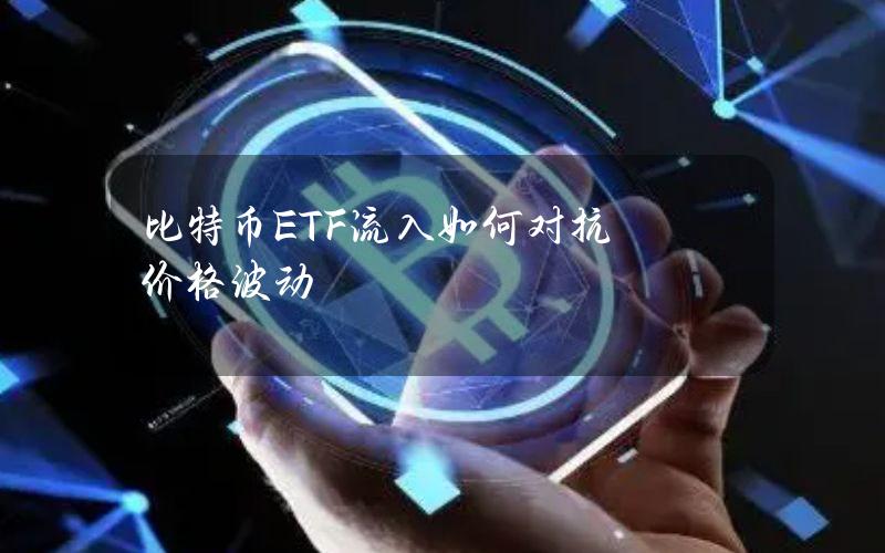 比特币ETF流入如何对抗价格波动？