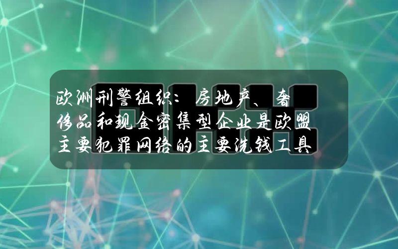 欧洲刑警组织：房地产、奢侈品和现金密集型企业是欧盟主要犯罪网络的主要洗钱工具