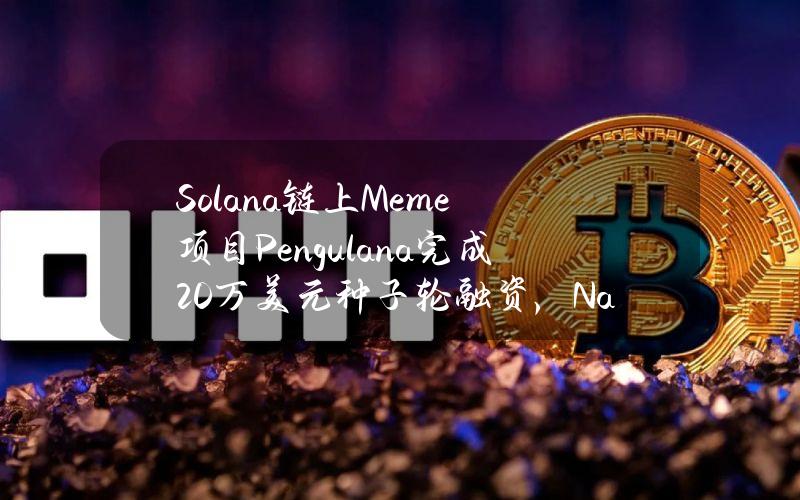 Solana链上Meme项目Pengulana完成20万美元种子轮融资，NanosproutVentures领投