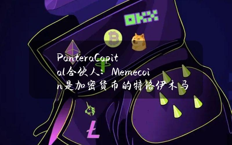 PanteraCapital合伙人：Memecoin是加密货币的特洛伊木马