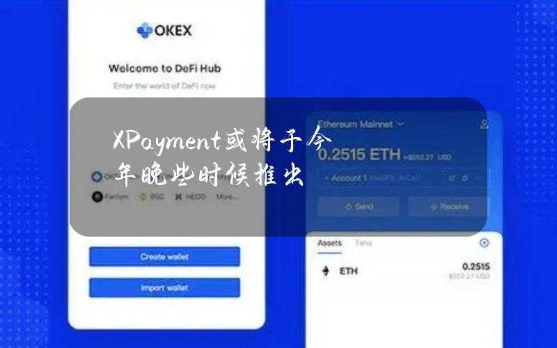 XPayment或将于今年晚些时候推出